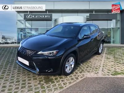 occasion Lexus UX 250h 250h 2WD Pack MY21