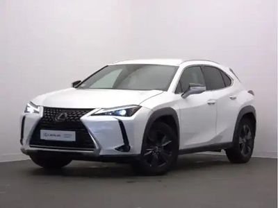 Occasion Lexus UX 250h 154 ch (113 kW) 2022 Blanc SUV