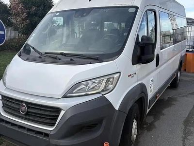 Occasion Fiat Ducato 131 ch (96 kW) 2017 Van