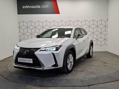 Occasion Lexus UX 250h Business Edition 184 ch (135 kW) 2021 SUV