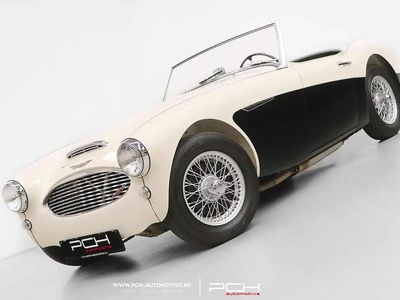 Blanc Occasion 1959 Austin Healey 100 Cabriolet | 57 999 €