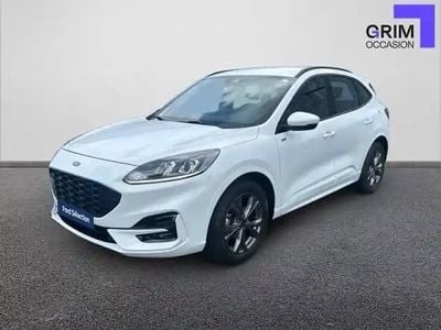 Blanc Occasion 2024 Ford Kuga ST-Line SUV | 28 490 € (Prix juste)