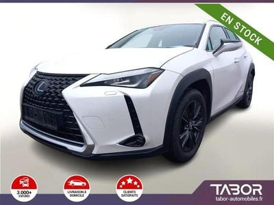 Occasion Lexus UX 250h Launch Edition 184 ch (135 kW) 2019 Blanc SUV