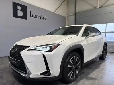 Occasion Lexus UX 250h 184 ch (135 kW) 2021 Blanc arctique métallisé SUV