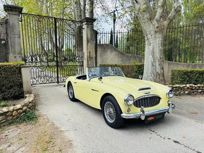 Occasion Austin Healey 100/6 117 ch (86 kW) 1958 Jaune Cabriolet