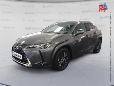Occasion Lexus UX 250h 154 ch (113 kW) 2021 Gris SUV