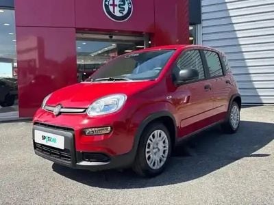 Rouge amore métallisé Occasion 2025 Fiat Panda Classica Berline | 14 990 € (Prix assez cher)