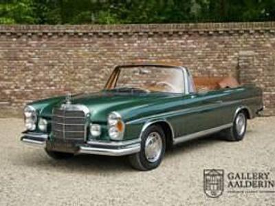 Occasion Mercedes 220 SE 120 ch (88 kW) 1964 Vert Cabriolet