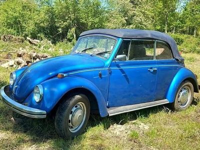 Bleu Occasion 1969 VW Käfer Cabriolet | 7 999 €