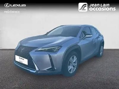 Occasion Lexus UX 250h 2023 Gris SUV
