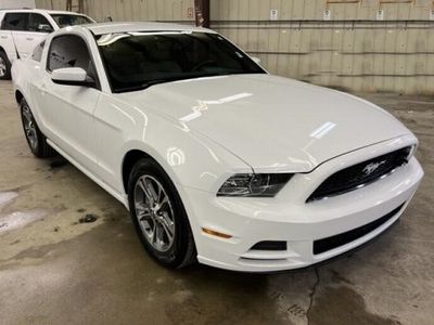 occasion Ford Mustang V6 coupe premium cuir