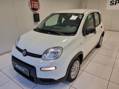 occasion Fiat Panda 1.0 70ch BSG S&S - VIVA201767762