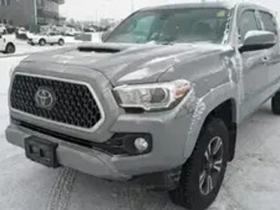 occasion Toyota Tacoma Trd Sport Tout Compris Hors Homologation 4500e