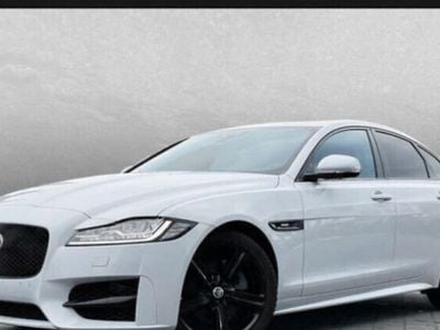 Occasion Jaguar XF R-Sport 250 ch (183 kW) 2019 Berline