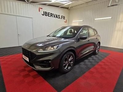 Occasion Ford Kuga ST-Line 152 ch (111 kW) 2022 SUV