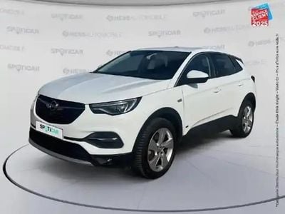 Occasion Opel Grandland X Business 182 ch (133 kW) 2021 Blanc SUV