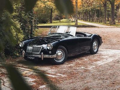 Vert Occasion 1959 MG MGA Cabriolet | 31 500 €
