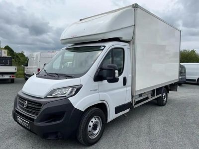 Blanc Occasion 2021 Fiat Ducato Business Van | 23 990 € (Prix juste)