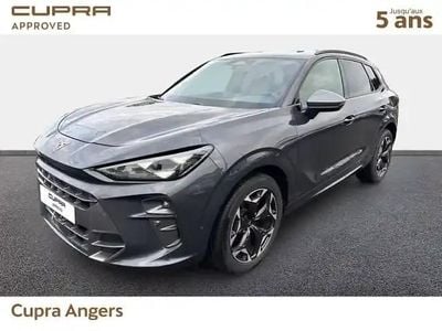 Gris Occasion 2025 Cupra Terramar SUV | 38 990 € (Prix juste)