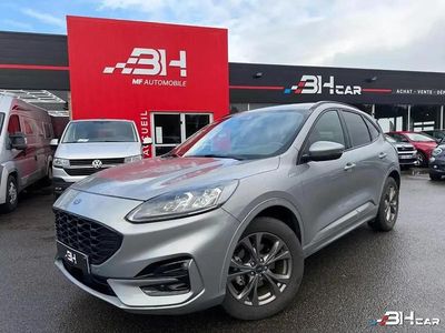 Occasion Ford Kuga ST-Line X 190 ch (139 kW) 2022 SUV