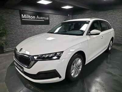 Occasion Skoda Octavia Ambition 116 ch (85 kW) 2023 Blanc Break