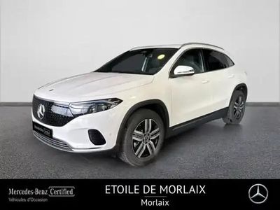 Blanc Occasion 2024 Mercedes EQA250+ Edition SUV | 41 500 € (Prix cher)