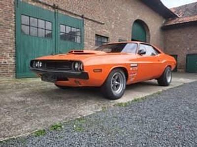 Occasion Dodge Challenger 396 ch (291 kW) 1970 Orange Coupé