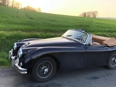 Brun Occasion 1959 Jaguar XK Cabriolet | 79 000 €