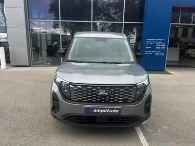 Gris Nouvelle 2025 Ford Transit Limited Van | 32 990 €