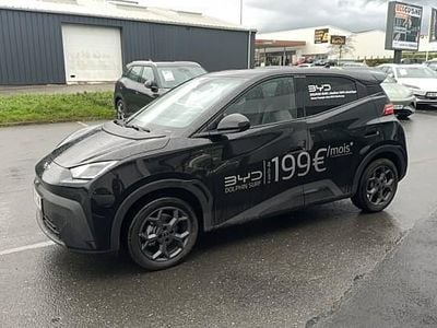 Nouvelle 2025 BYD Dolphin Surf Comfort Citadine | 24 490 €