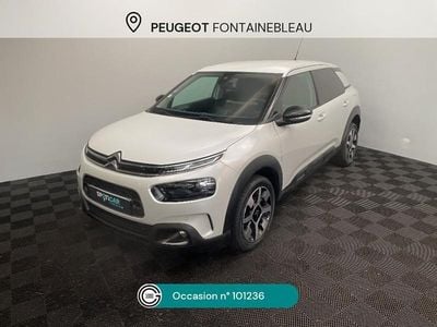 Occasion 2019 Citroën C4 Cactus PureTech Citadine | 10 480 € (Prix juste)