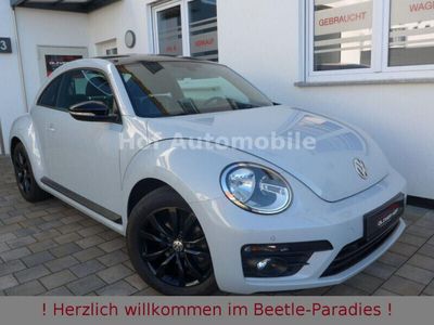 VW Beetle