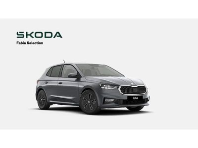 Gris Occasion 2025 Skoda Fabia Selection Citadine | 23 990 € (Prix juste)