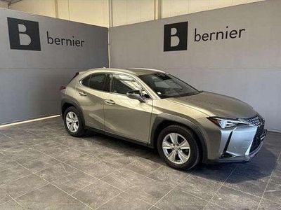 Occasion Lexus UX 250h Business Edition 184 ch (135 kW) 2021 SUV