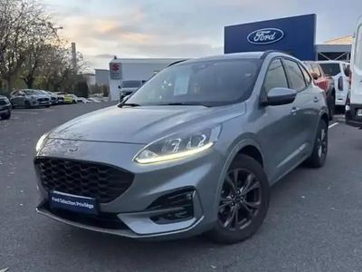 Occasion Ford Kuga Business Edition 152 ch (111 kW) 2023 Gris solar métallisée SUV