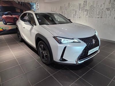 Occasion Lexus UX 250h 154 ch (113 kW) 2022 Blanc arctique métallisé SUV