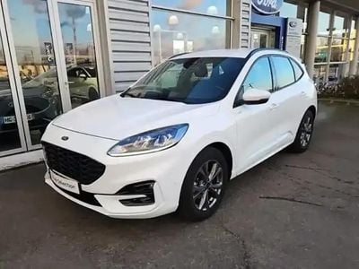 Blanc Occasion 2023 Ford Kuga Business Edition SUV | 25 900 € (Bon prix)