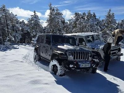 Occasion Jeep Wrangler Unlimited Rubicon 271 ch (199 kW) 2019 SUV