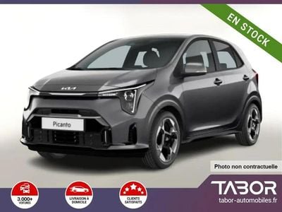Gris Nouvelle 2025 Kia Picanto Citadine | 19 047 € (Prix juste)