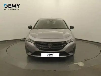 Occasion Peugeot 308 SW S 2023 Gris artense Break