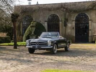 Occasion Mercedes 250 150 ch (110 kW) 1967 Vert Cabriolet