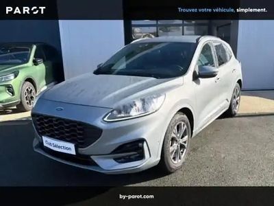 Occasion Ford Kuga ST-Line X 2024 Gris métallisé SUV