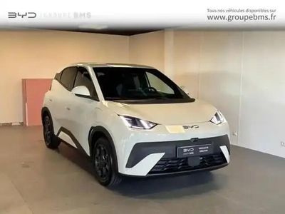 Occasion BYD Dolphin Surf Comfort 2025 Apricity white Citadine