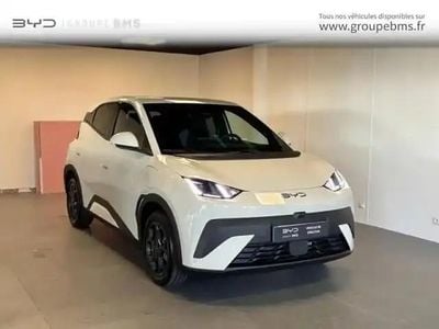 Occasion BYD Dolphin Surf Comfort 2025 Apricity white Citadine