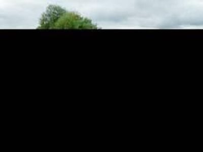 Occasion Ford Mustang 203 ch (149 kW) 1966 Rouge Cabriolet