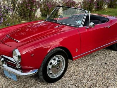 Occasion 1963 Alfa Romeo Giulia Spider Cabriolet | 78 000 €
