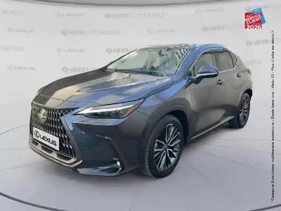 Occasion Lexus NX450h+ Executive Line 188 ch (138 kW) 2024 Gris SUV