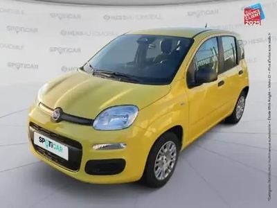 Jaune Nouvelle 2025 Fiat Panda Classica Berline | 15 499 € (Prix juste)