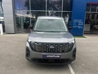 Nouvelle Ford Transit Limited 100 kW (137 ch) 2025 Gris Van