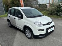 occasion Fiat Panda 1.0 70ch BSG S&S Pack Confort - VIVA194880241